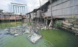 胡子养殖鲶鱼技术要求_胡子鲶鱼养殖技术_胡子鲶养殖视频