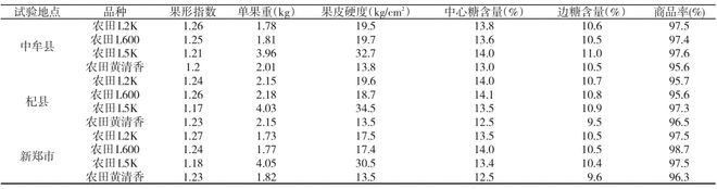 西瓜吊蔓种植技术视频_西瓜吊蔓种植技术小结_小西瓜吊蔓种植技术