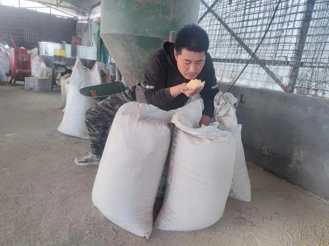 创业养殖致富视频_养殖致富案例_养殖视频致富经