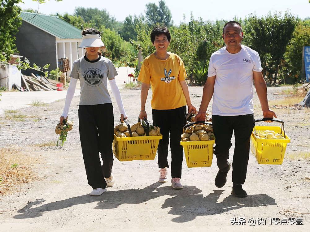 养草鱼视频致富养鱼_致富经草鱼养殖视频_养草鱼视频致富经