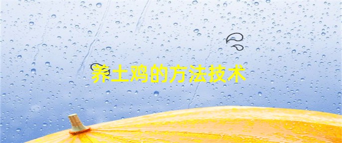 养土鸡的方法技术