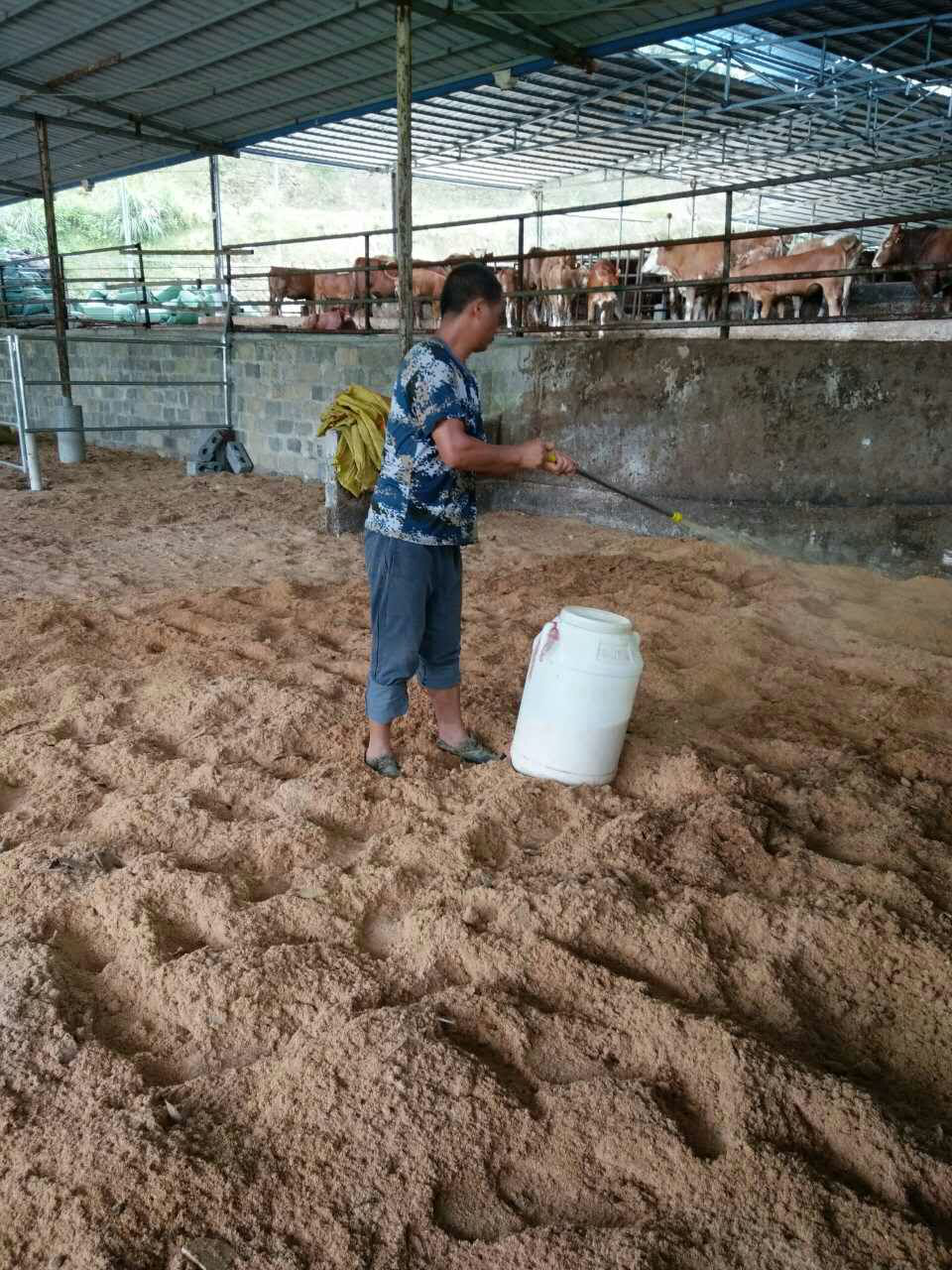 养殖发酵床制作方法_发酵床生态养殖_养殖发酵床技术视频