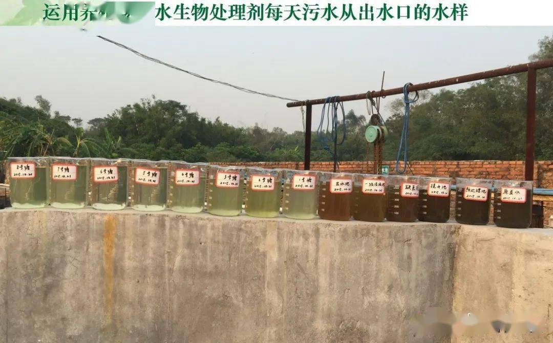养殖发酵床制作方法_养殖发酵床技术视频_养殖发酵床怎样建