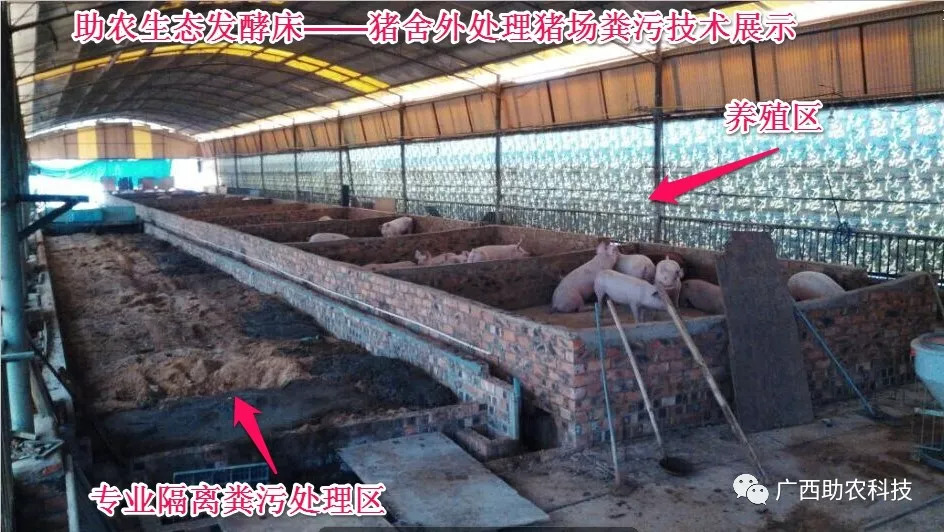 养殖发酵床技术视频_养殖场发酵床怎么做_发酵床养猪视频完整版最新