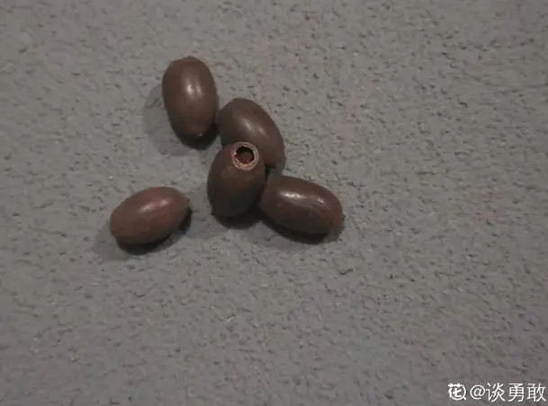 种植碗莲的视频_致富微型种植碗莲视频_致富经微型碗莲种植