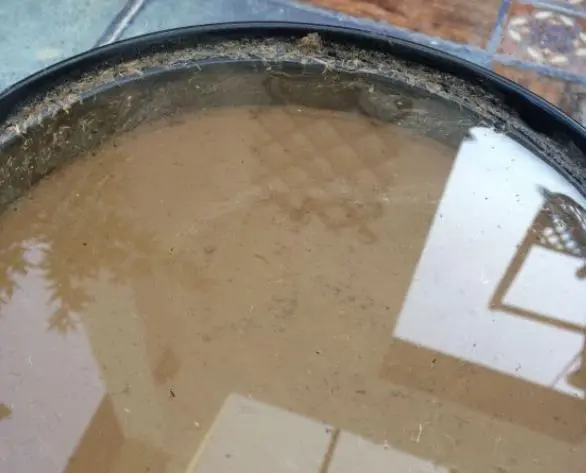 致富经微型碗莲种植_种植碗莲的视频_致富微型种植碗莲视频
