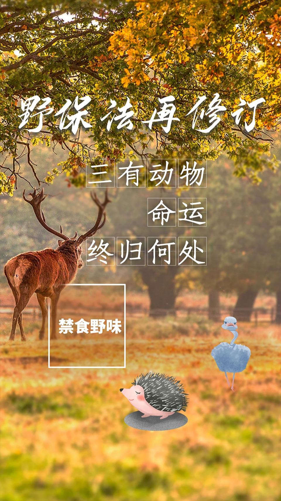 致富养殖项目_致富养殖动物视频_动物养殖致富