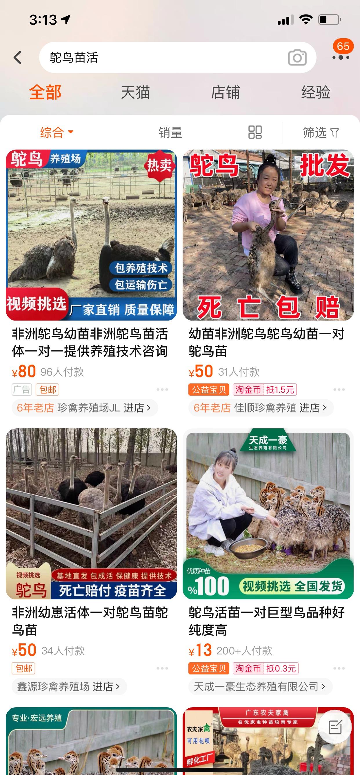 动物养殖致富_致富养殖动物视频_致富养殖项目