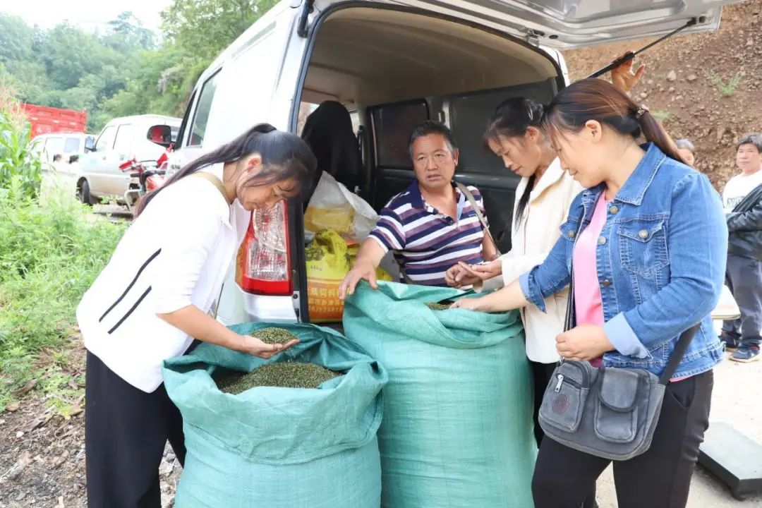 记录小康 | 云南巧家包谷垴乡：椒香四溢富村民