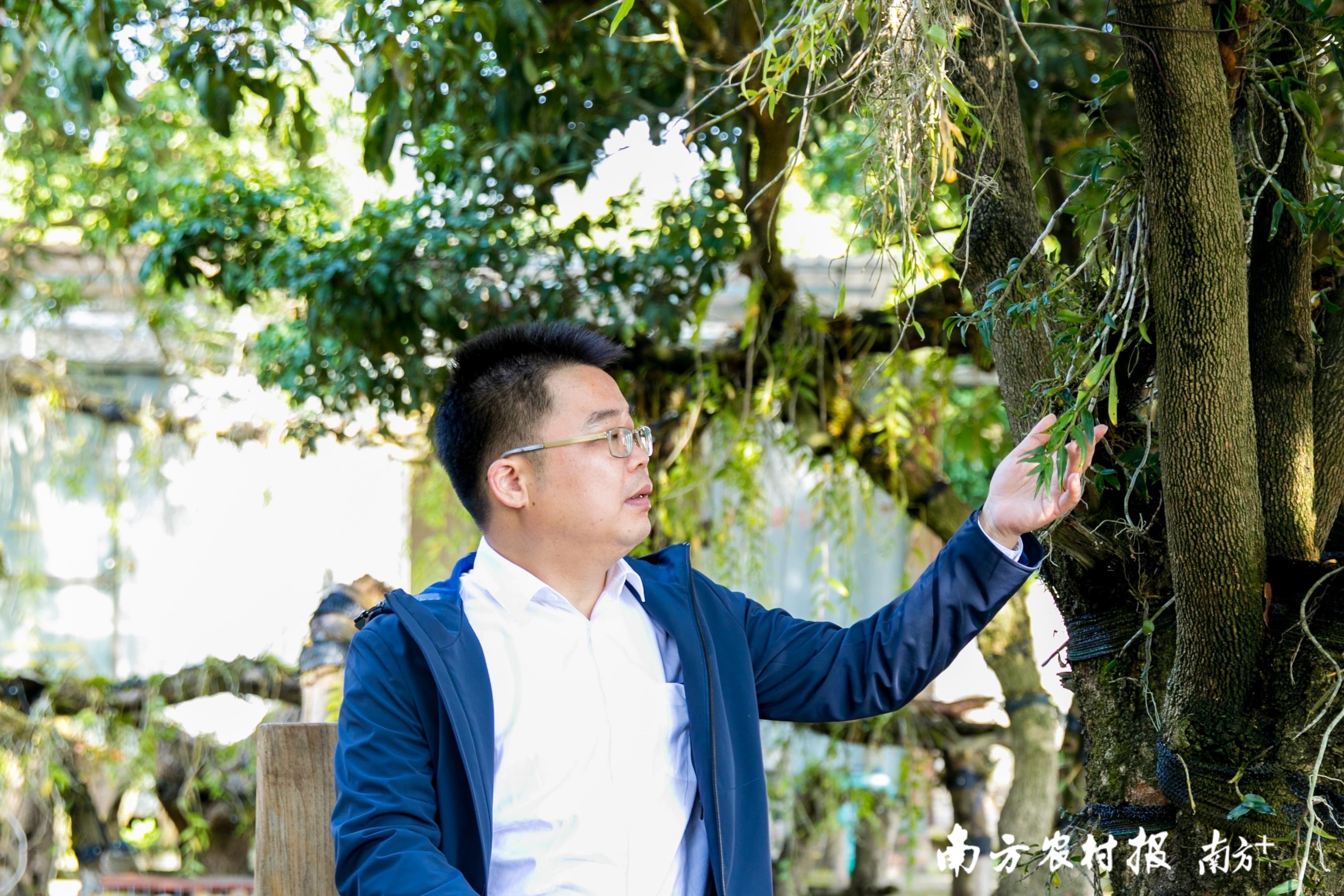 种植野生植物_种养致富项目_野生种植致富项目