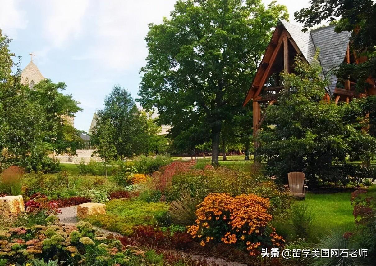 洛杉矶优质学院分享经验_洛杉矶的college_洛杉矶名校