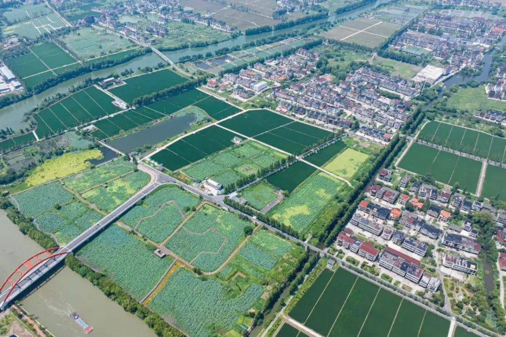水产养殖业致富项目_养殖水产致富项目_致富养殖水产项目介绍