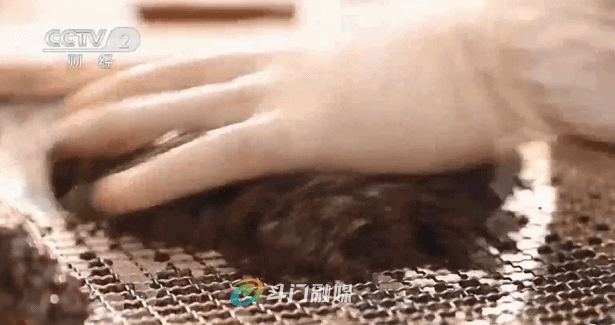 养殖致富项目视频_农林养殖致富视频_致富养殖业
