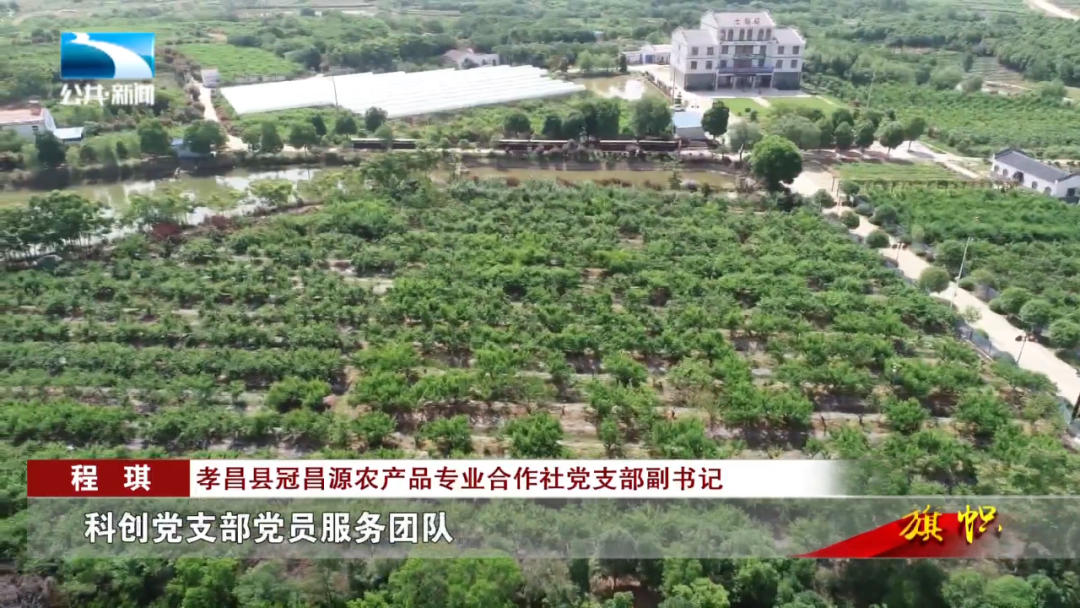 致富2023_致富2023年短视频_2008致富经