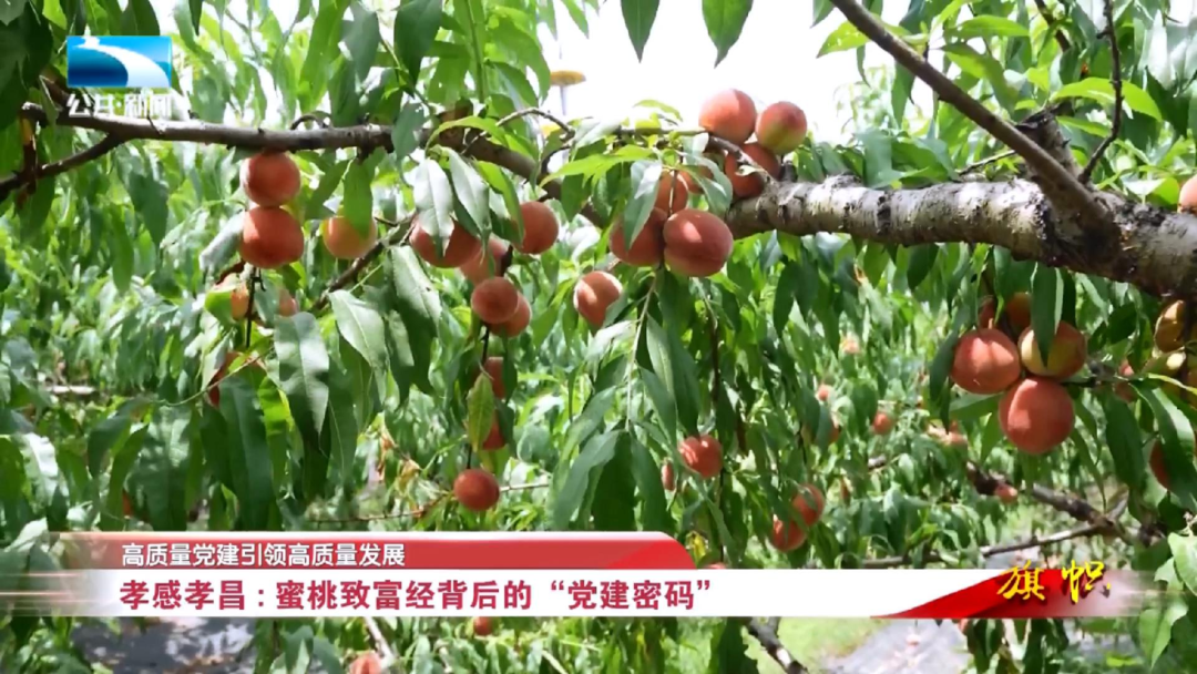 致富2023_2008致富经_致富2023年短视频