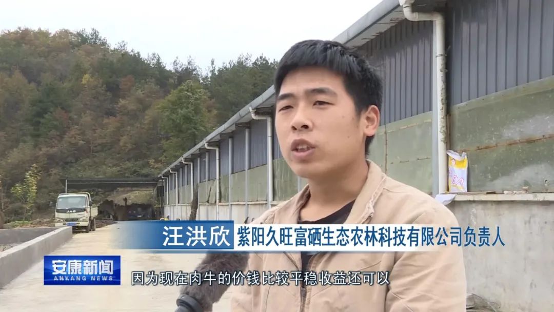 农林养殖致富视频_农村养殖业致富项目视频_致富经农业养殖视频