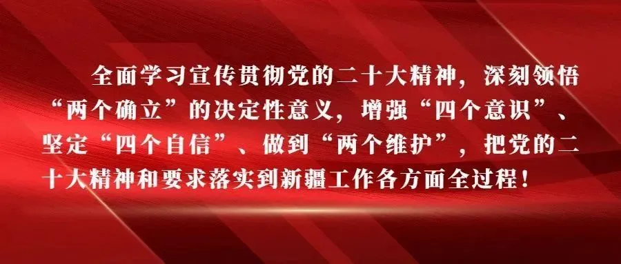 香菇种植合作社公司简介_香菇合作社补贴政策_合作社种植香菇脱贫致富