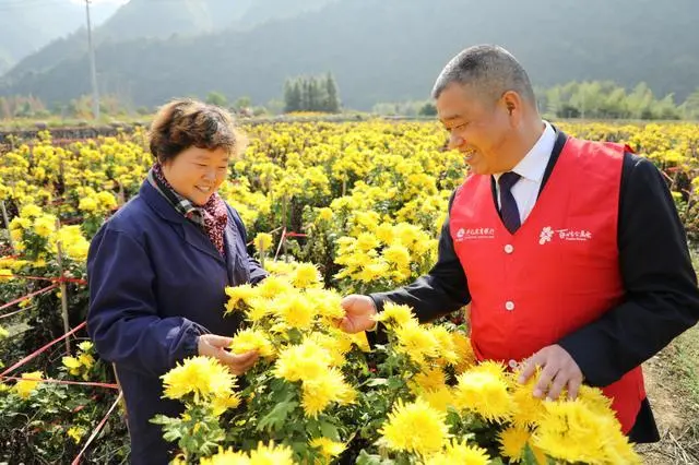 薄田种植致富项目_种植致富农村项目大全_种植致富业