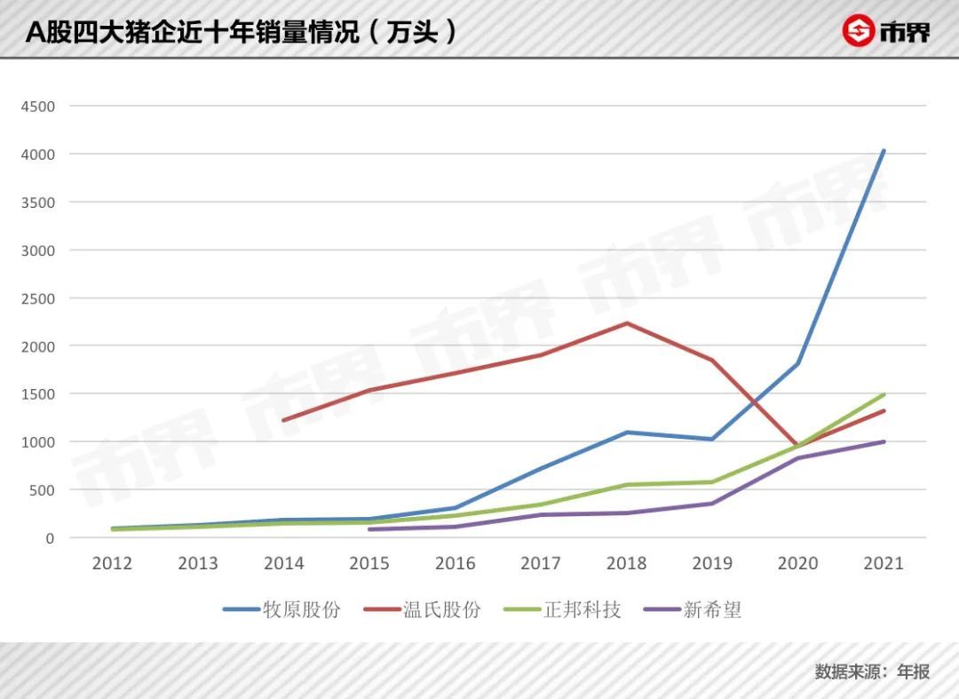 超级猪养殖致富_致富养猪网_致富经生态养殖猪视频
