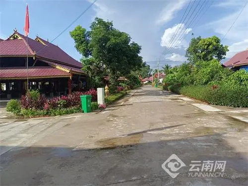 小庭院养殖致富案例_庭院种植致富项目_小庭院种植致富
