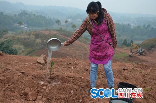 柑桔种植致富方法_致富种植柑桔方法有哪些_致富种植柑桔方法视频