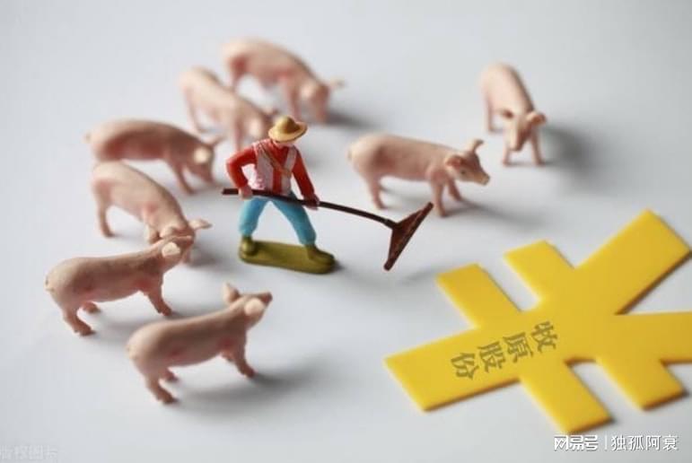 致富养猪网_超级猪养殖致富_致富经生态养殖猪视频