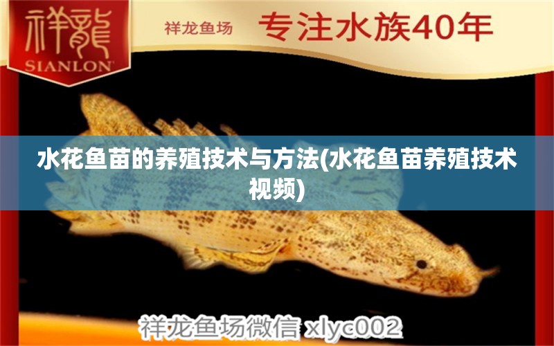水花鱼苗的养殖技术与方法(水花鱼苗养殖技术视频)
