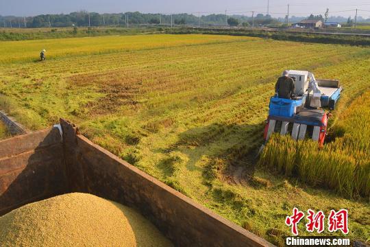 致富经养鱼致富视频_致富经知鱼尝鲜_致富经鱼菜共养