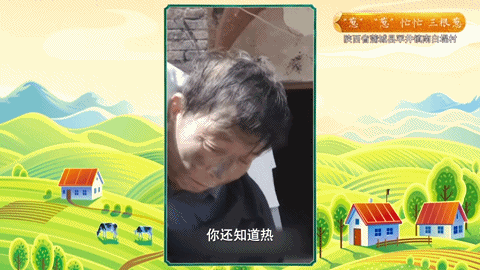 养蜂致富靠真经_养蜂致富经视频_致富经养蜂视频