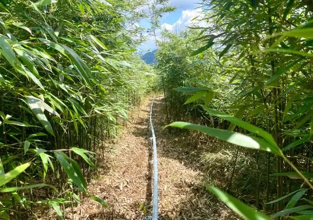 致富养殖什么最赚钱_致富经养殖业_种植养殖致富之路