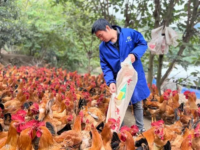 致富经养殖业_致富养殖什么最赚钱_种植养殖致富之路