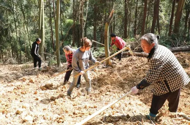 致富养殖什么最赚钱_种植养殖致富之路_致富经养殖业