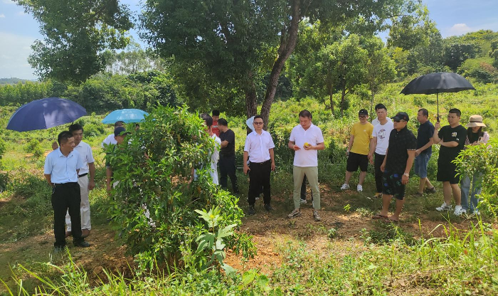 已编辑图片