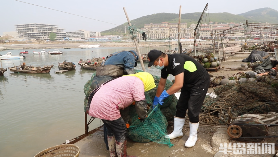 海螺养殖致富_养海螺挣钱吗_致富养殖海螺怎么样
