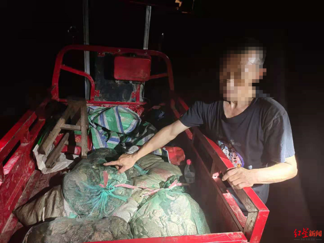 6人捕捉384只“癞蛤蟆”被查：全是中华蟾蜍，涉嫌非法狩猎罪