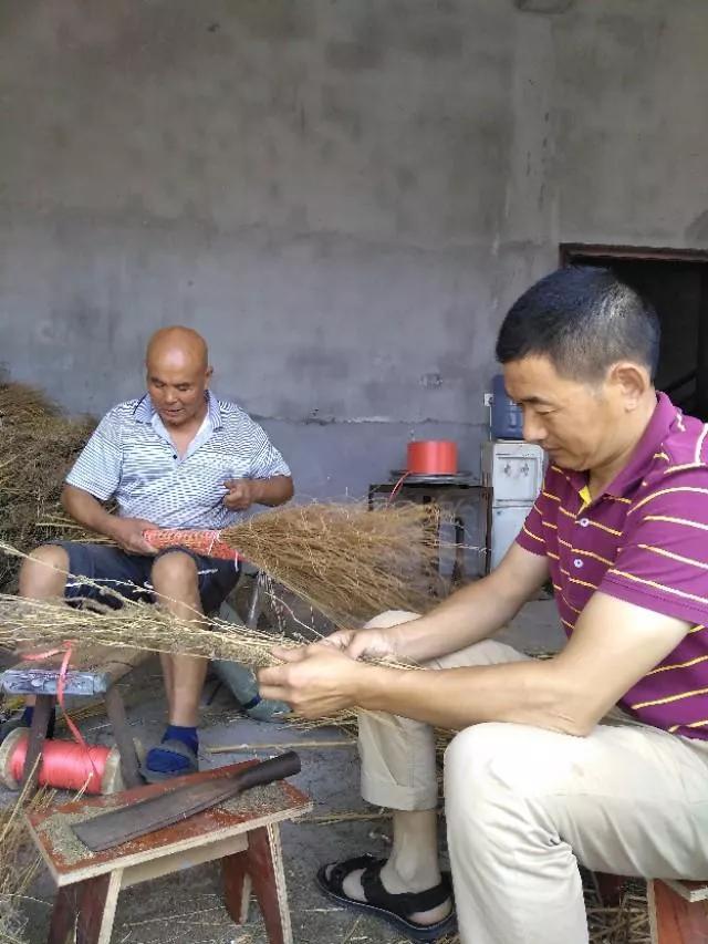 养海螺挣钱吗_海螺养殖致富_致富养殖海螺视频