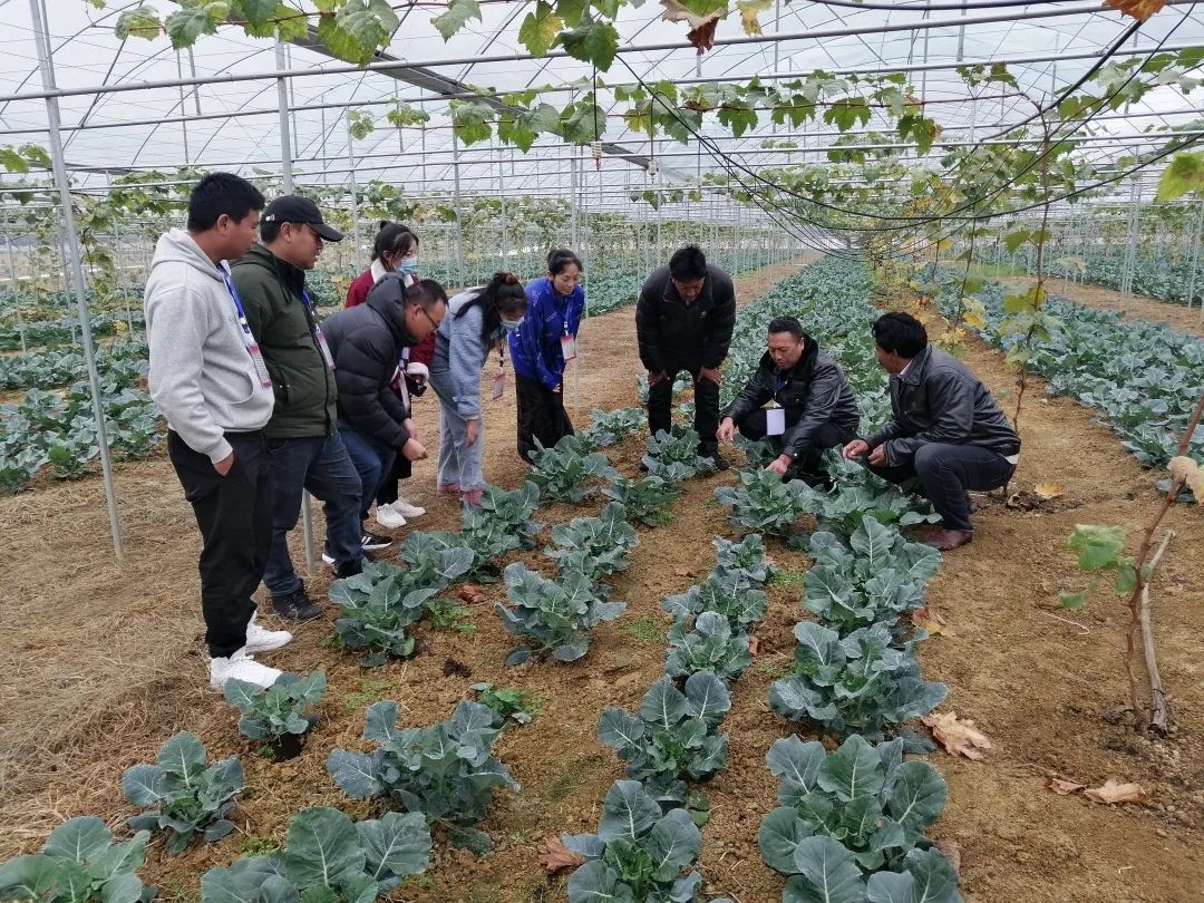 成都致富经_致富经四川_致富城app