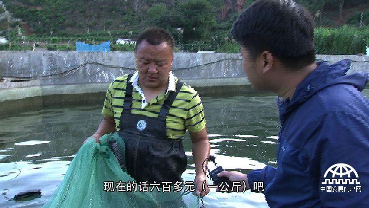最新致富经养鱼_致富经养殖鱼视频_致富经 百万鱼苗