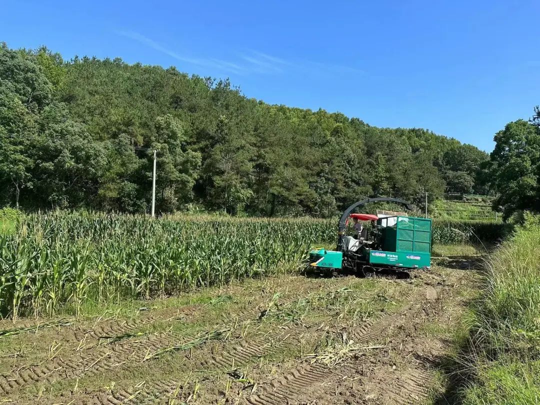 旱地养殖致富_致富养殖旱地有补贴吗_致富养殖旱地赚钱吗