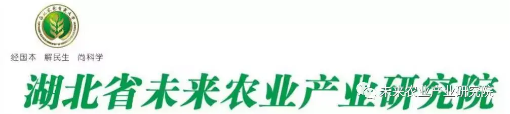 枸杞林下好养鸡