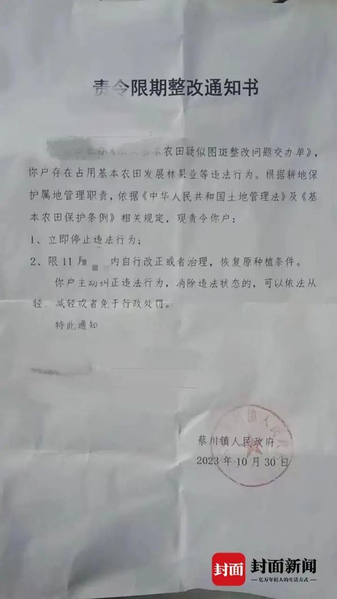 种树致富全部视频_致富种植视频全集_致富经男子种树视频