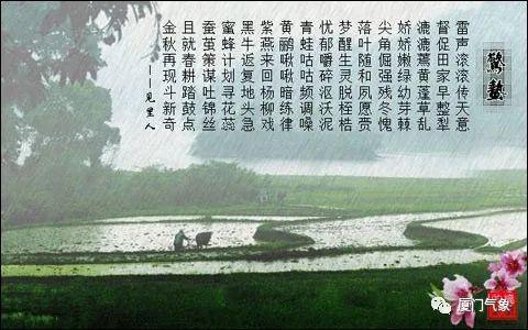 甘蓝冬种春收种植技术_春甘蓝种植技术及管理_冬春甘蓝栽培技术