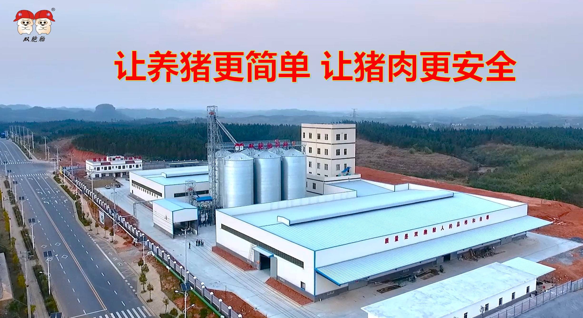 《母猪的产后护理》沦为笑话？双胞胎集团教你科学养猪