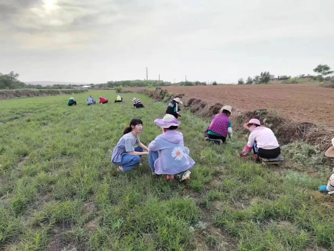旱地养殖致富_致富养殖旱地有补贴吗_致富养殖旱地赚钱吗