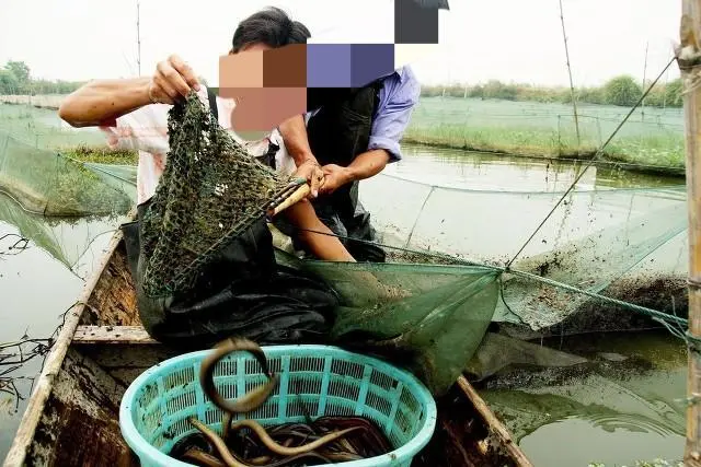 致富养殖业_想致富搞养殖_养殖致富经