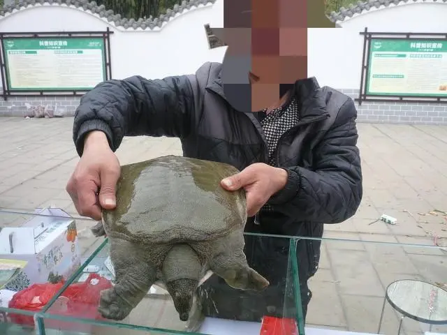 想致富搞养殖_致富养殖业_养殖致富经