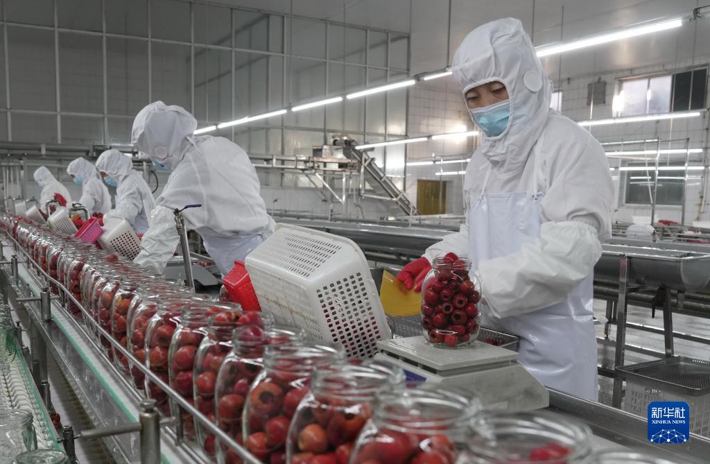 河北种植什么最赚钱_河北省种植什么效益最高_河北遵化种植致富
