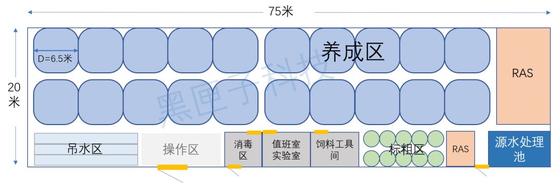养殖黑鱼需要多深的水_养黑鱼技术和池塘设施_黑鱼循环水养殖技术