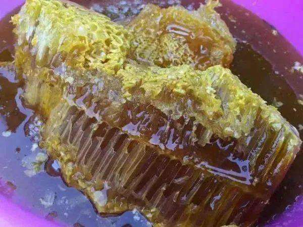 茵雀恩价格表_茵雀恩这个牌子怎么样_阳雀茵种植技术