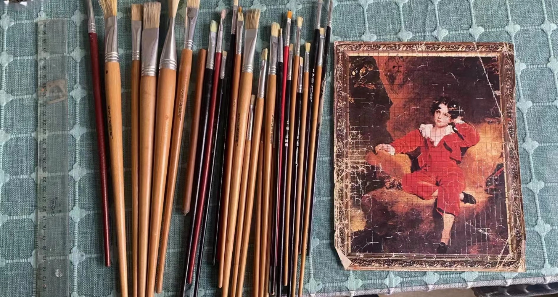 小红衣怎么繁殖_小红衣的养殖技术_小红衣怎么养